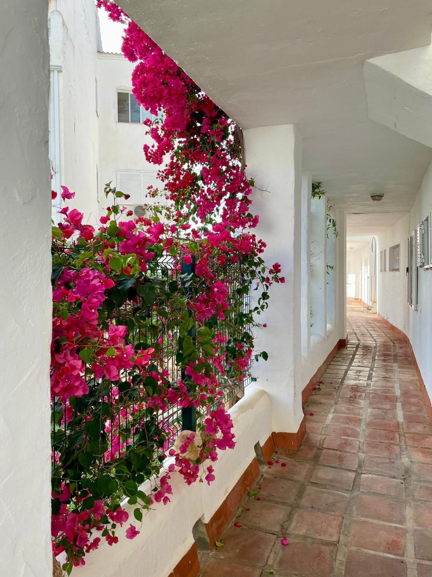 Sun Castle Apartamento Fuengirola Exterior foto